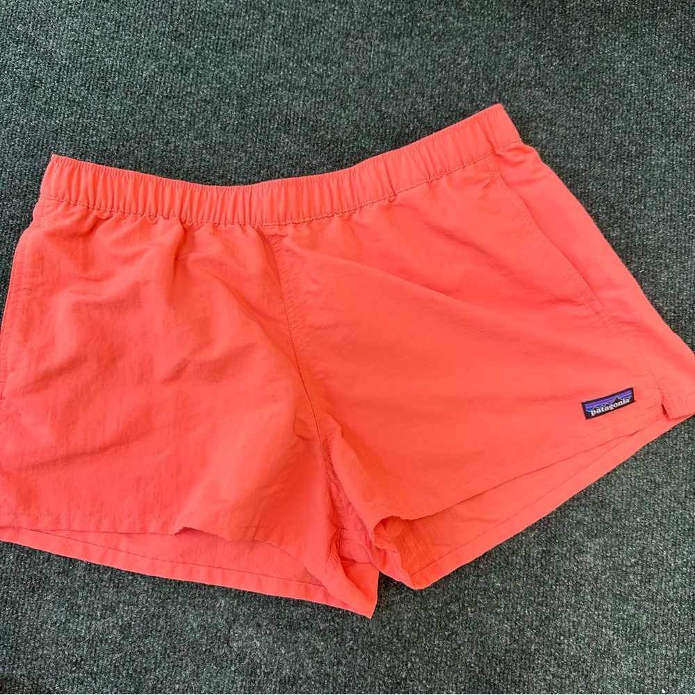 Patagonia Baggies Shorts Sz L